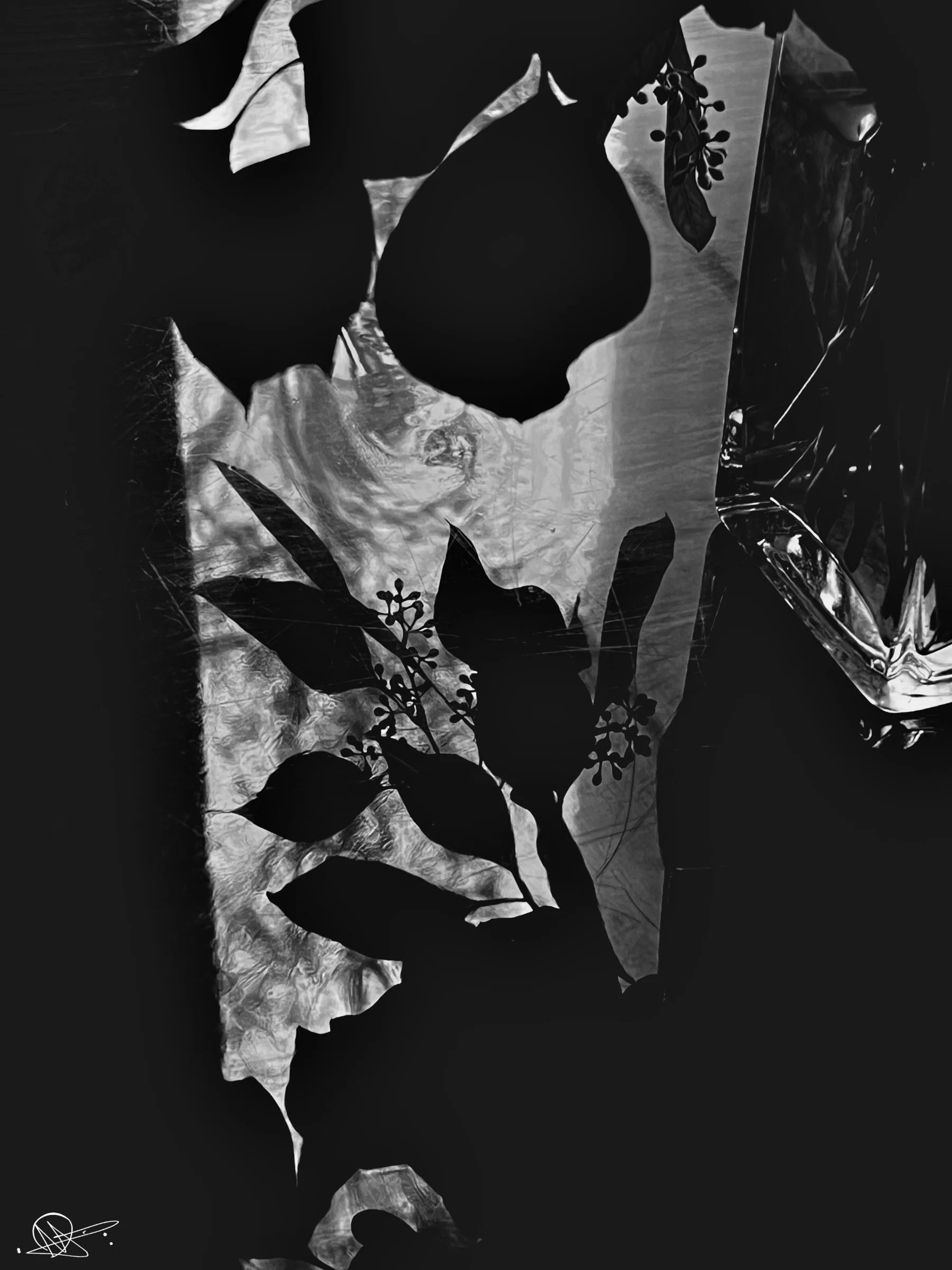 Photography — work 4 by Isabelle Goldstein