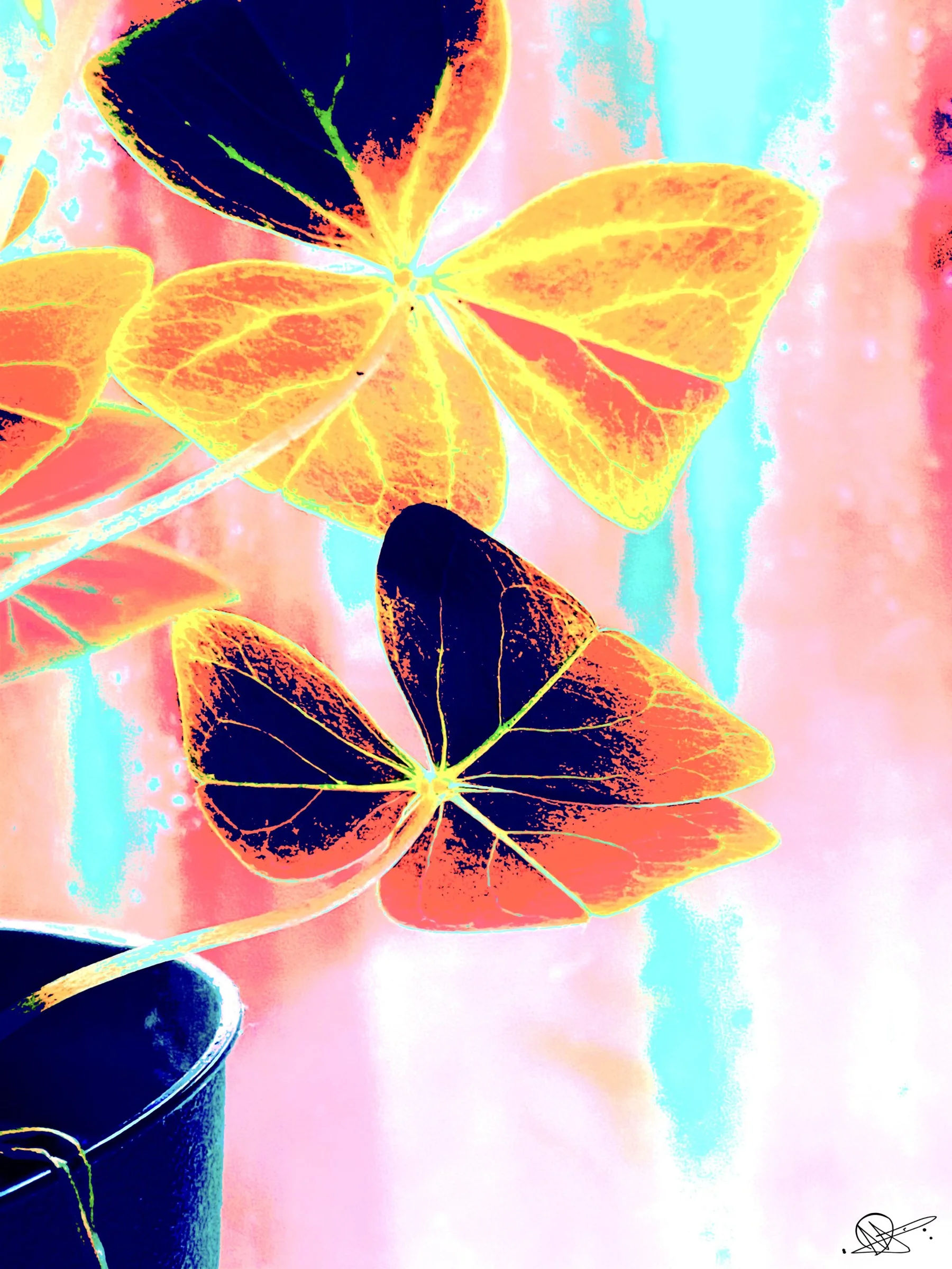 Photo Art — work 2 by Isabelle Goldstein